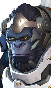 winston profile