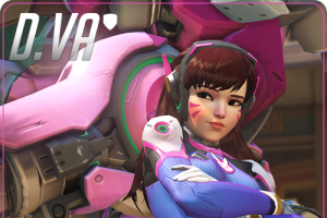 Herocard D.Va