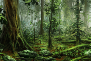 subtropical forest by alaiaorax dbyc80r